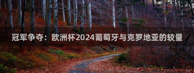 世界杯直播在线观看入口：冠军争夺：欧洲杯2024葡萄牙与克罗地亚的较量