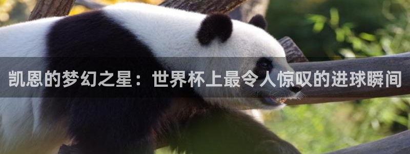 英足总杯直播：凯恩的梦幻之星：世界杯上最令人惊叹的进球瞬间