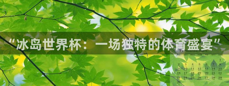 世界杯预选赛亚洲区积分榜：“冰岛世界杯：一场独特的体育盛宴”