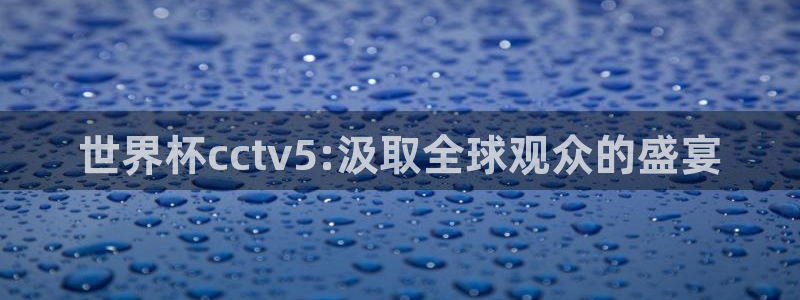 2026世亚预赛赛程表：世界杯cctv5:汲取全球观众的盛宴