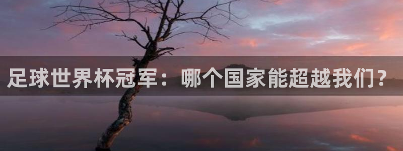2006世界杯：足球世界杯冠军：哪个国家能超越我们？