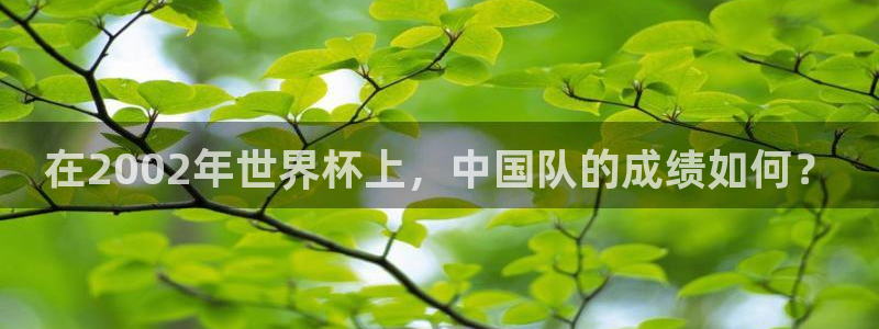 世界杯转播表：在2002年世界杯上，中国队的成绩如何？