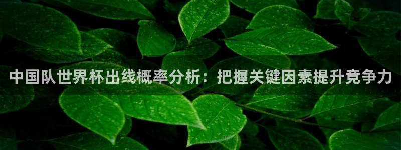 看世界杯：中国队世界杯出线概率分析：把握关键因素提升竞争力