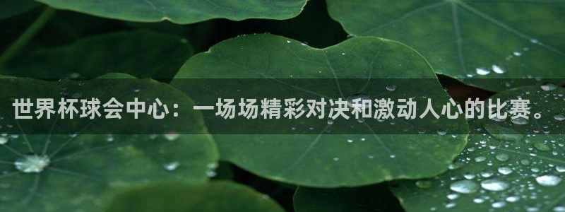 世界杯预选赛规则：世界杯球会中心：一场场精彩对决和激动人心的比赛。