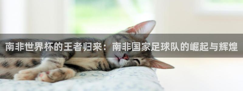 欧洲世预赛赛程表：南非世界杯的王者归来：南非国家足球队的崛起与辉煌