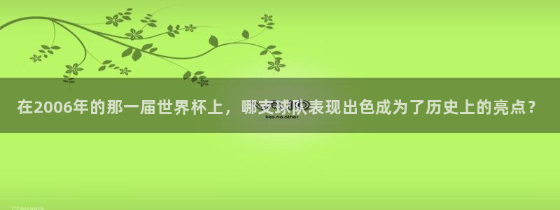 世界杯欧洲预选赛：在2006年的那一届世界杯上，哪支球队表现出色成为了历史上的亮点？