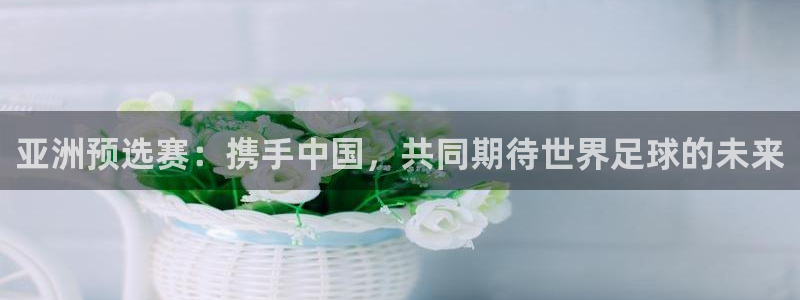 世界杯：亚洲预选赛：携手中国，共同期待世界足球的未来