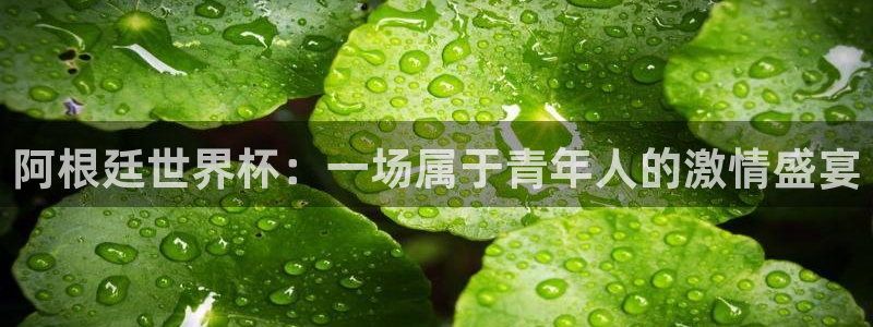世界杯球队排名：阿根廷世界杯：一场属于青年人的激情盛宴