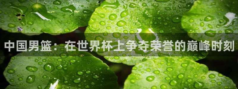 今年的世界杯：中国男篮：在世界杯上争夺荣誉的巅峰时刻