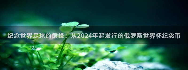 世界杯比赛直播：纪念世界足球的巅峰：从2024年起发行的俄罗斯世界杯纪念币