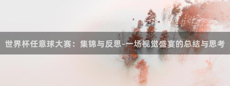 世界杯2026赛程表：世界杯任意球大赛：集锦与反思-一场视觉盛宴的总结与思考
